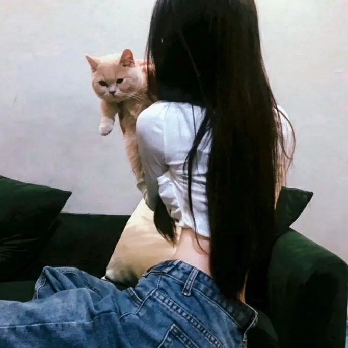 超完美狗保姆